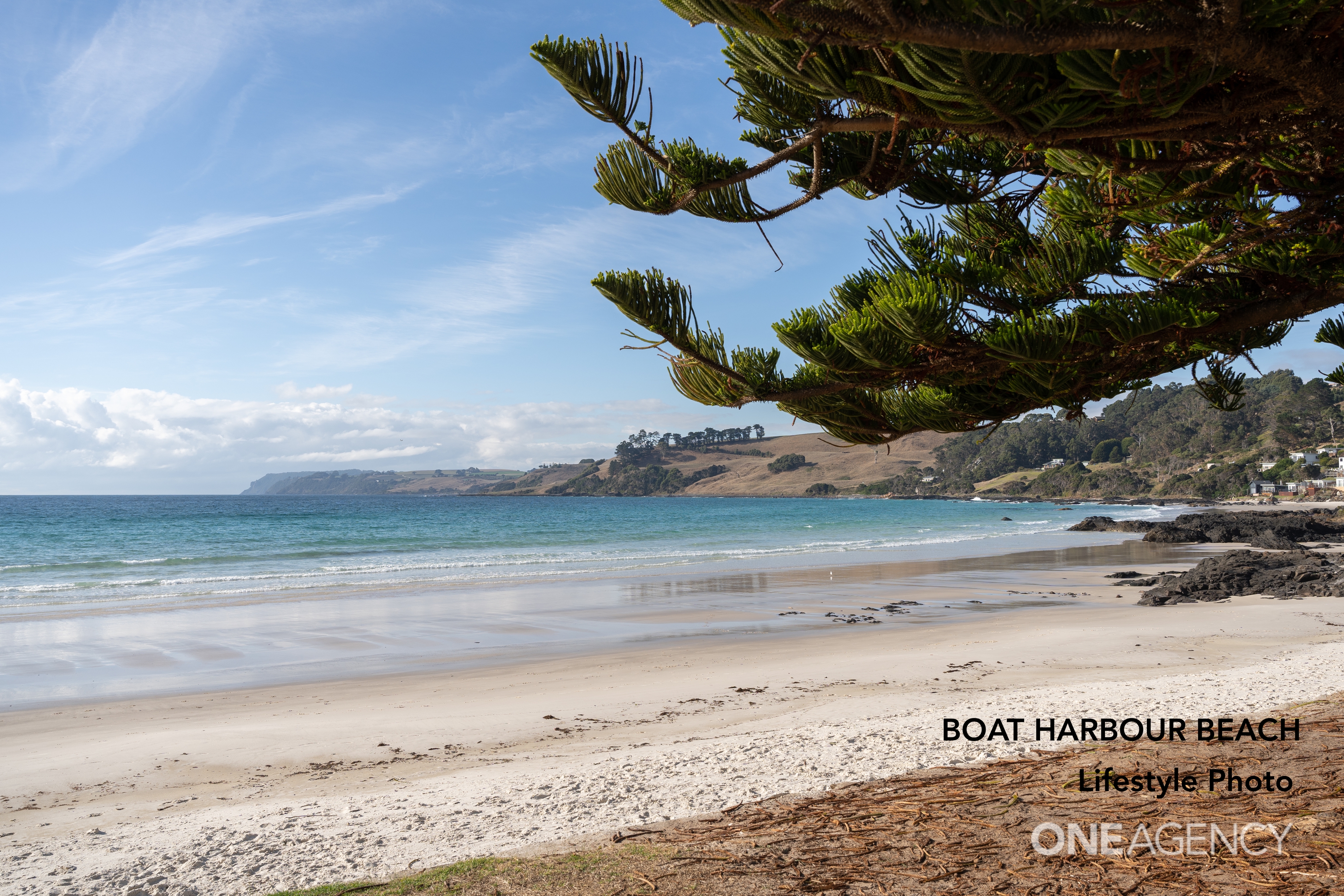 171 PORT RD, BOAT HARBOUR TAS 7321, 0 Bedrooms, 0 Bathrooms, Section