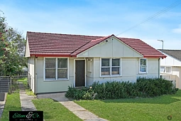17 Beaton Street, Lake Illawarra