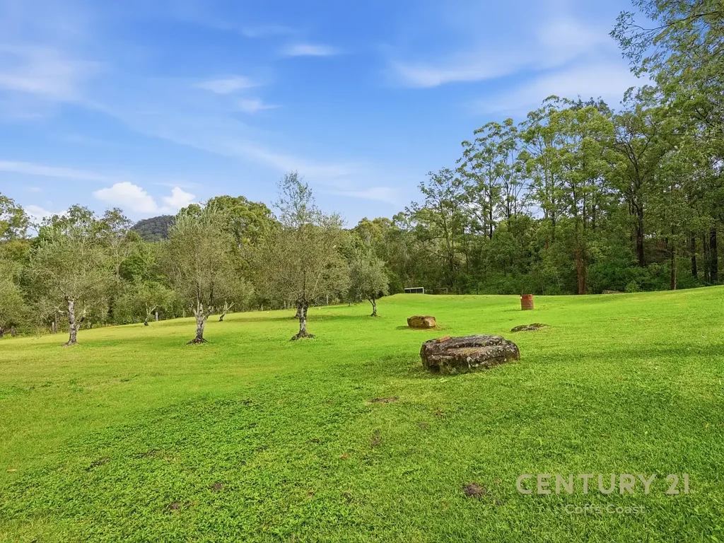 Glenreagh 4房  New Listing: Acres with Privacy, Lifestyle and Olives