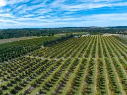 111 Old Gayndah Mundubbera Road, Gayndah