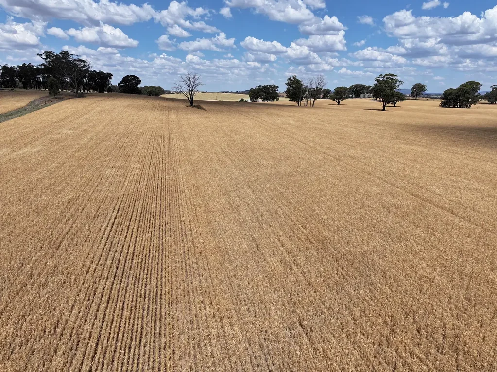 Combaning  Exciting Opportunity For The Astute Buyer