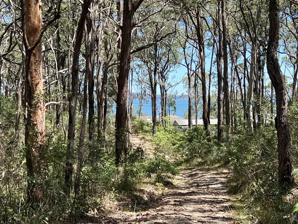 LOT 695 Point Circuit, North Arm Cove, NSW 2324