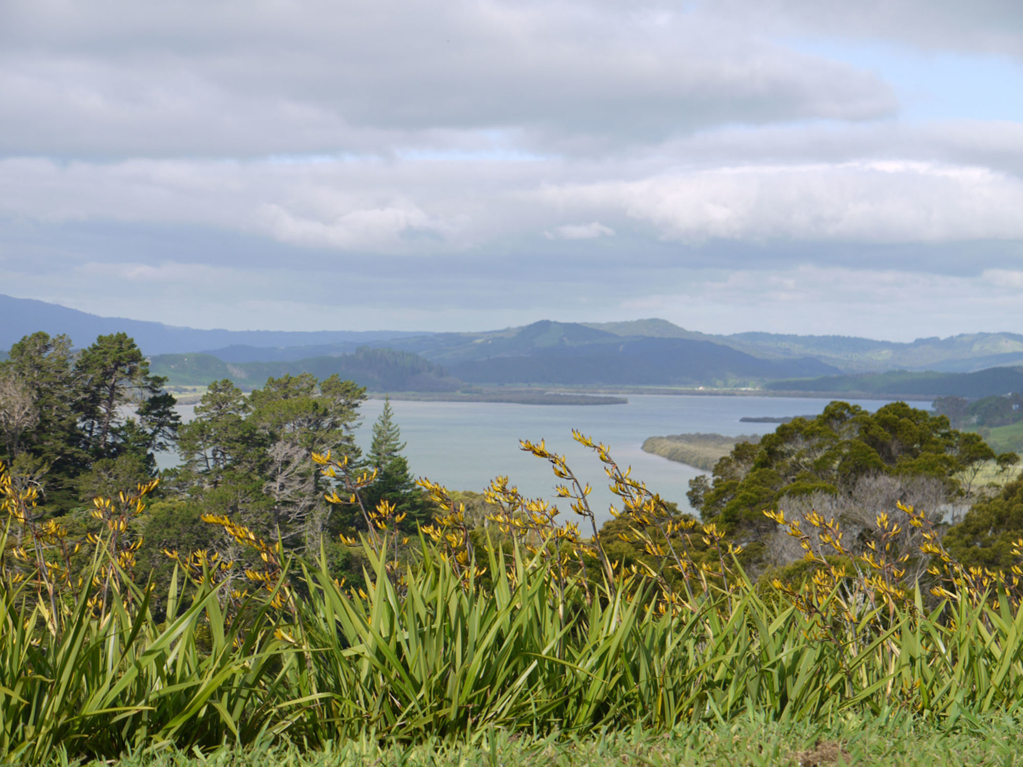 146 Kirkpatrick Road, Patutahi, Gisborne, 0 ਕਮਰੇ, 1 ਬਾਥਰੂਮ