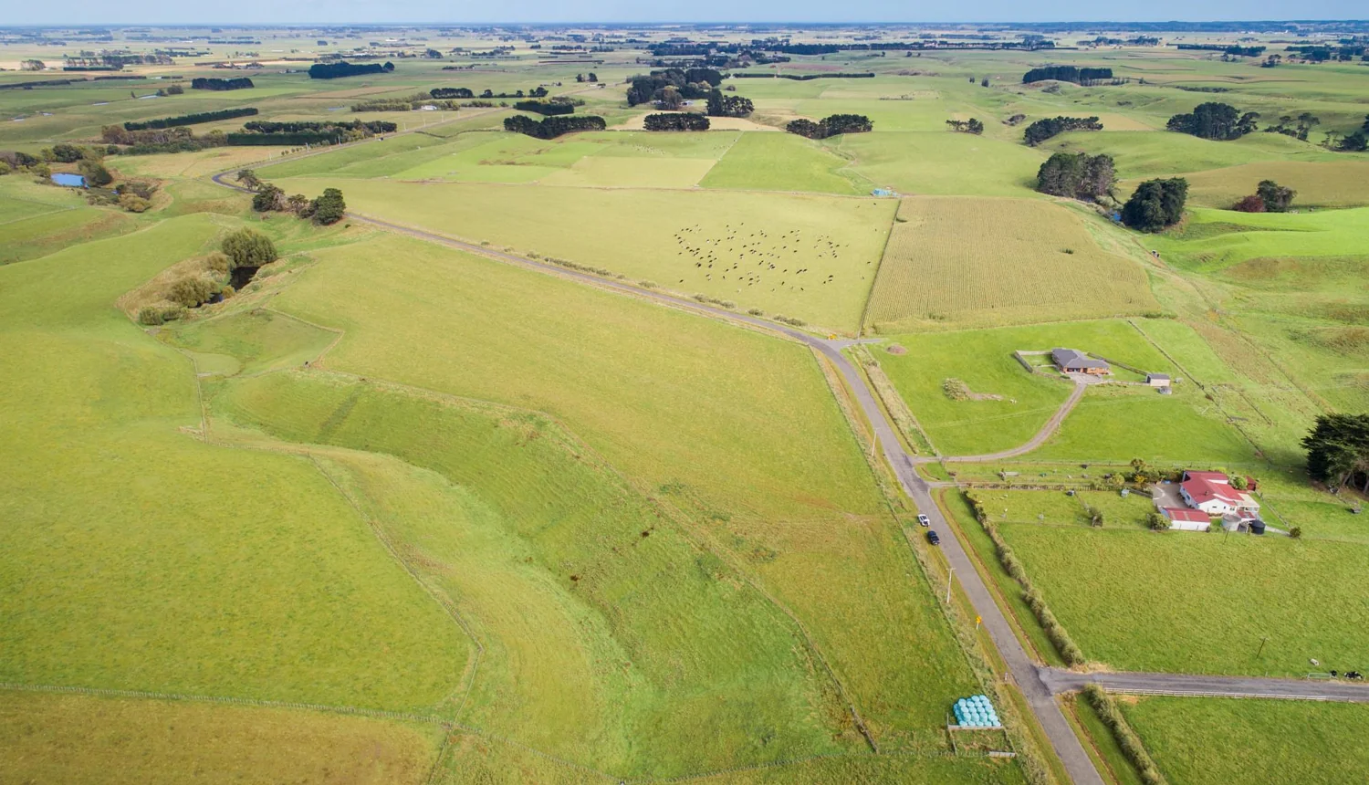 Penny Road, Rongotea, Manawatu, 0 ਕਮਰੇ, 0 ਬਾਥਰੂਮ