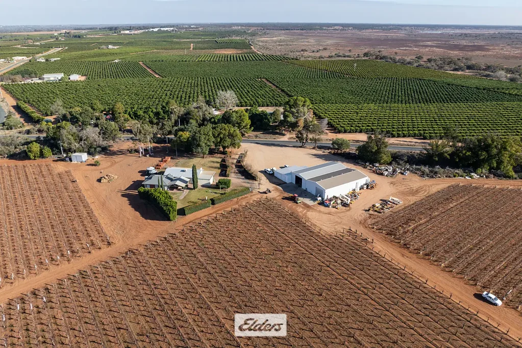 Mourquong Irrigate or Recreate – 69.30acs of potential