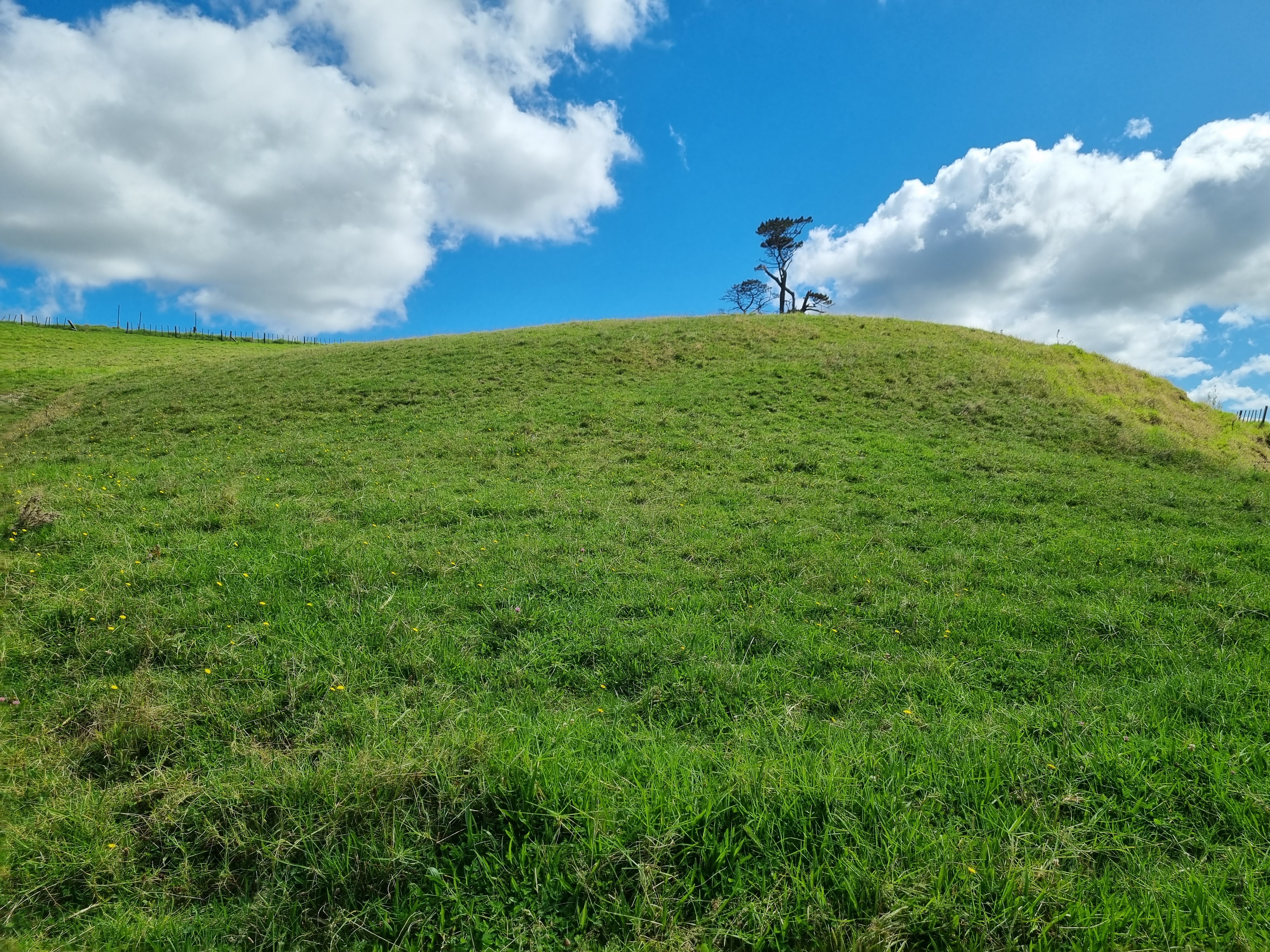 95 Ariels Lane, Paparoa, Kaipara, 0 ਕਮਰੇ, 0 ਬਾਥਰੂਮ