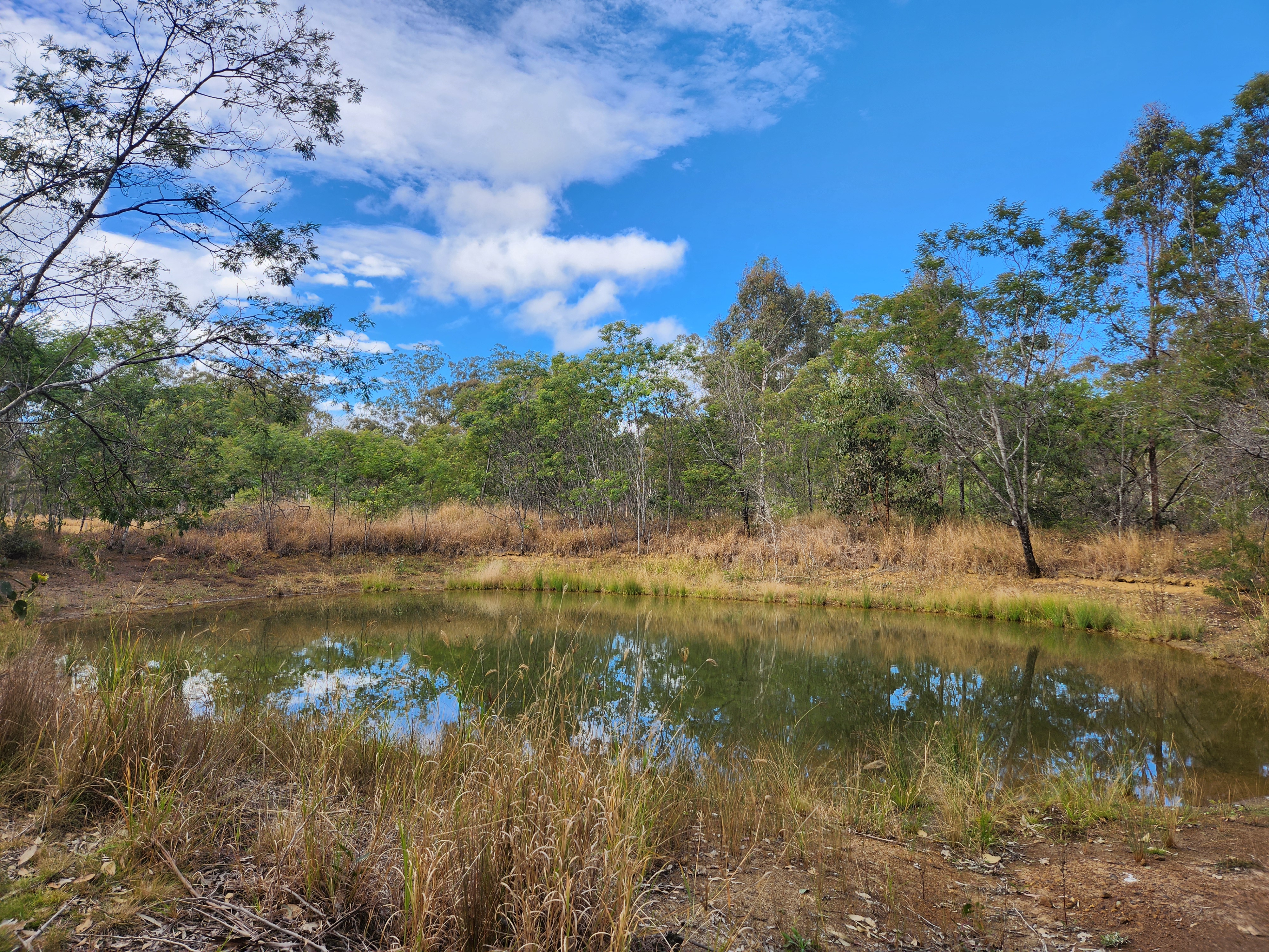 828 OLD ESK RD, TAROMEO QLD 4314, 0 phòng ngủ, 0 phòng tắm, Lifestyle Property