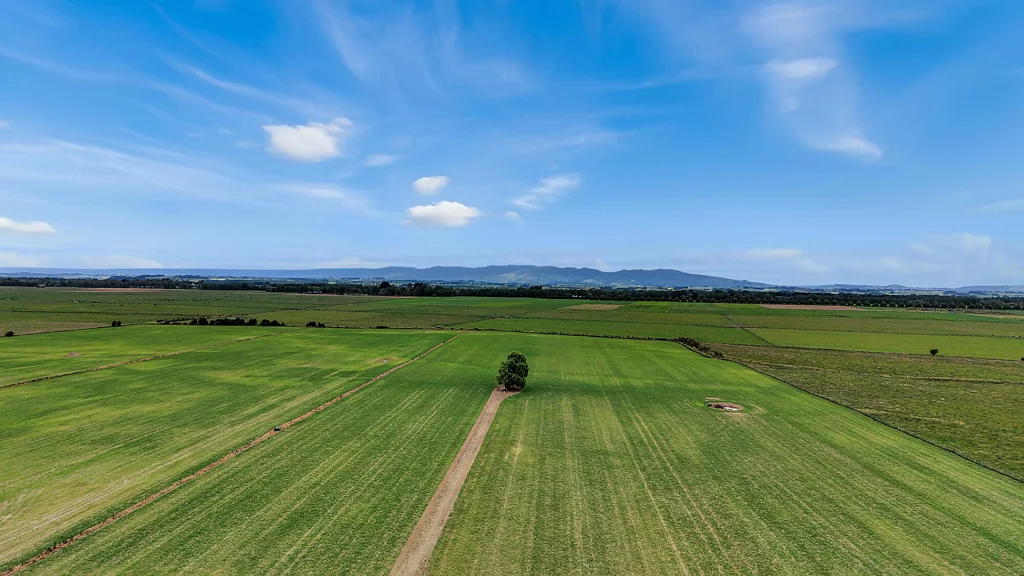 Feilding Quality flat land with proven performance