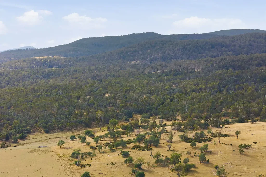 Deddington Baythorn Run - A Vast Tasmanian Bush Escape with Scale and Serenity