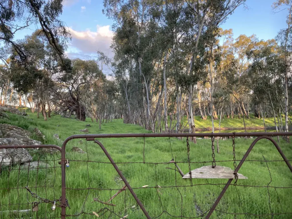 Mount Mckenzie 13.81 Acres with Approved DA & Sweeping Northern Lofty Ranges Views