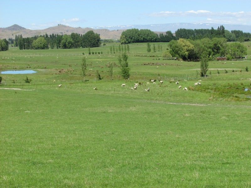 156 Racecourse Road, Omakau, Otago, 3 habitaciones, 1 baños