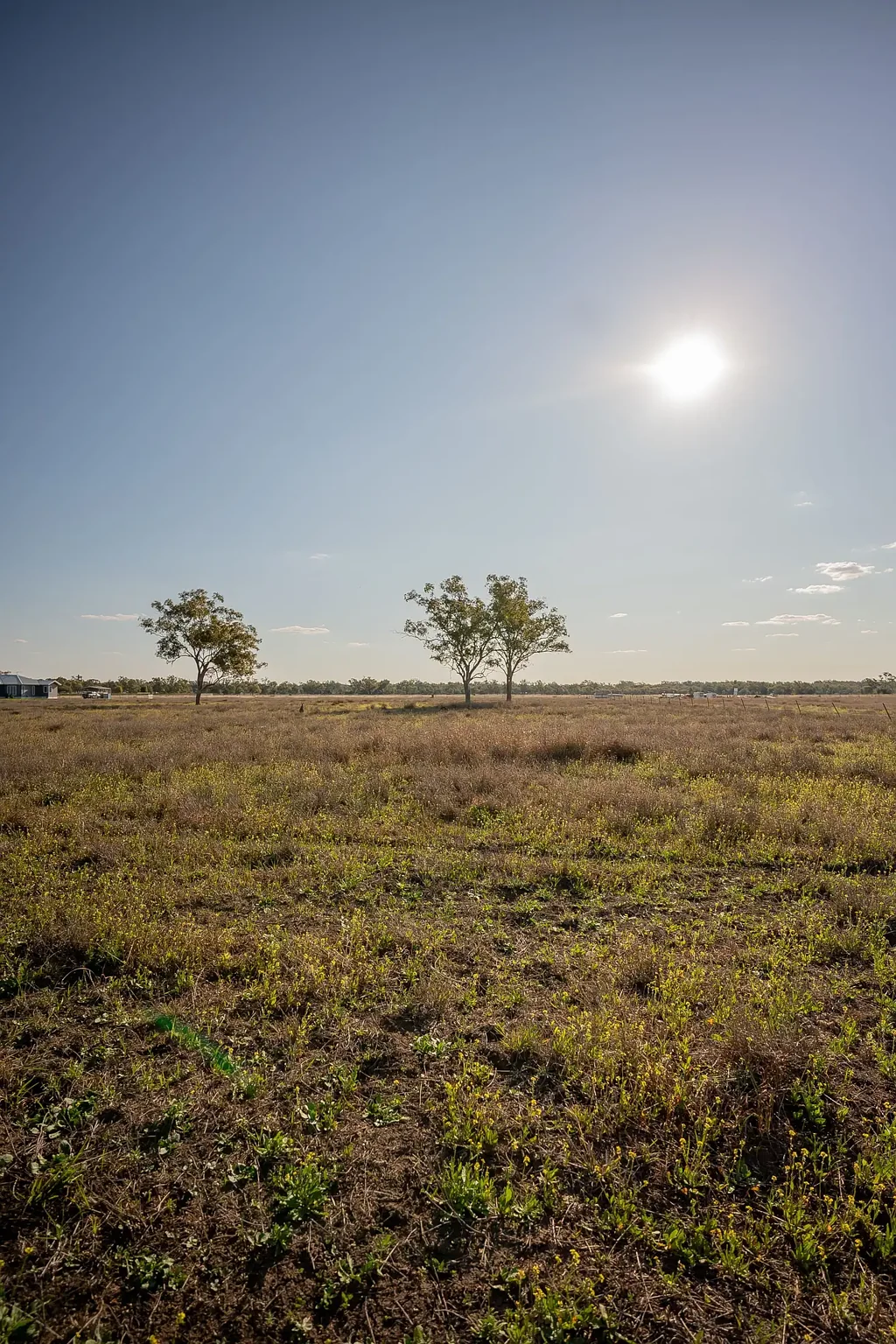 Roma  Acreage Close to Town - 5 Acre Parcels of Land - $250,000 EACH