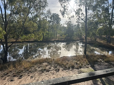 557 Myra Road, Tara, QLD 4421, 0 slaapkamers, 0 badkamers, Section