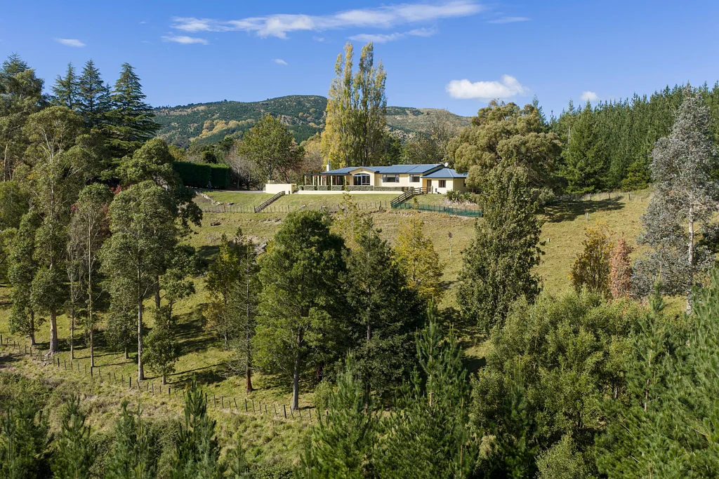Havelock North 4房  Country calm on Kahuranaki