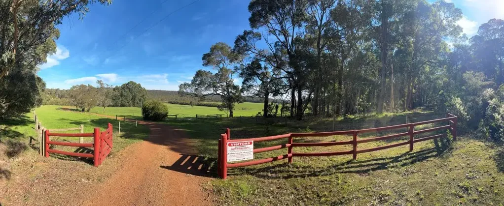 Scotsdale 'Birdsong', The Forever Farm !