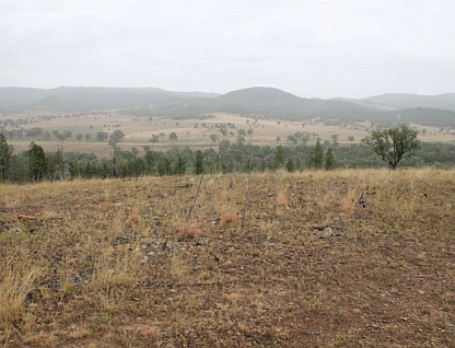 Proposed Lots 21 and 23 Bruxner Way, Tenterfield, NSW 2372, 0房, 0浴, Lifestyle Property