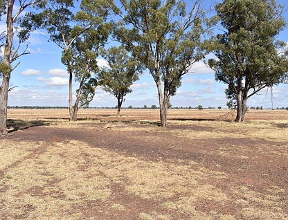 987 Boorr Hill Road, Bruie Plains, Central Tablelands, 0 habitaciones, 0 baños, Lifestyle Property