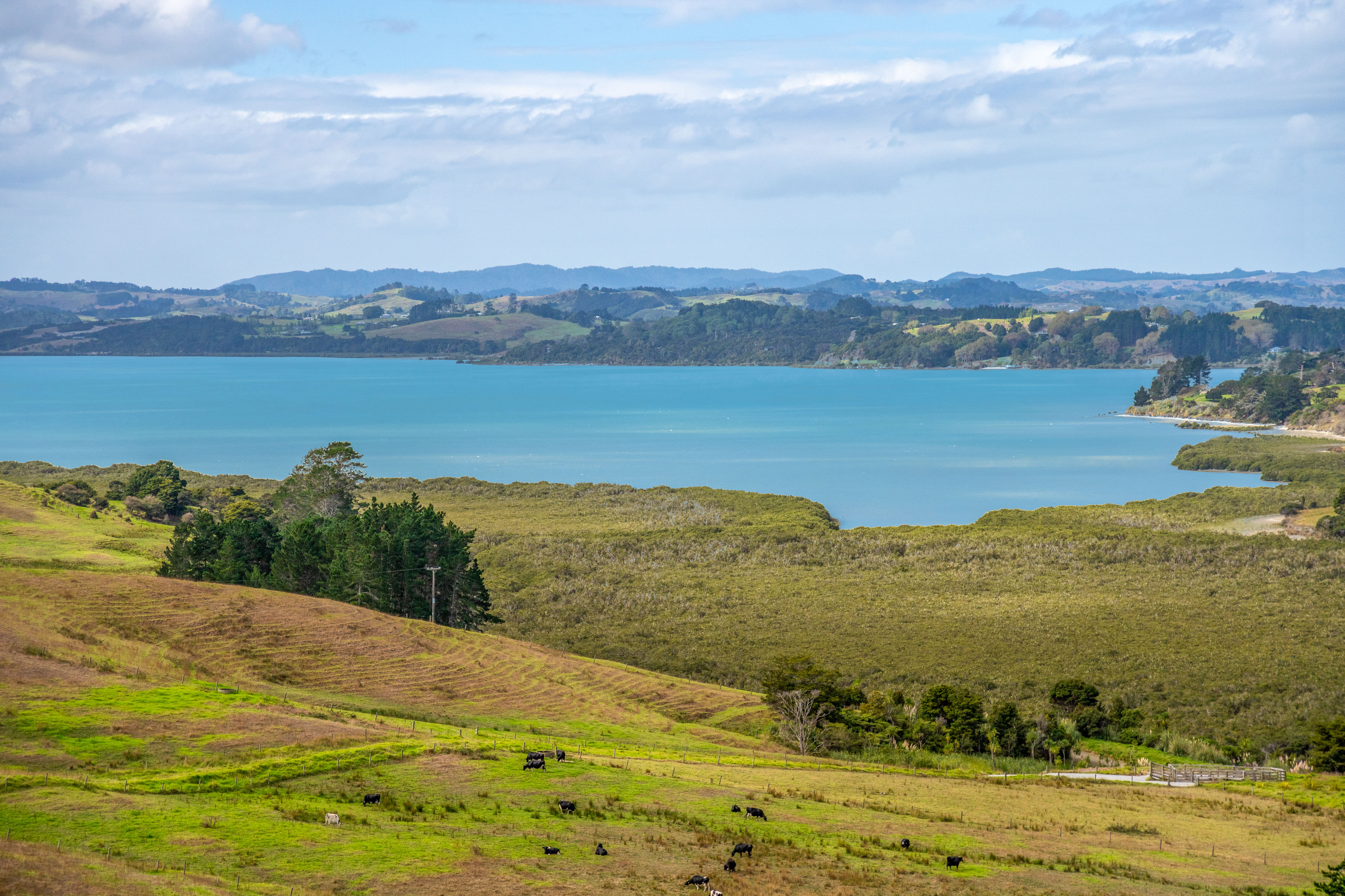 165 Hall Road, Tinopai, Kaipara, 0 ਕਮਰੇ, 0 ਬਾਥਰੂਮ