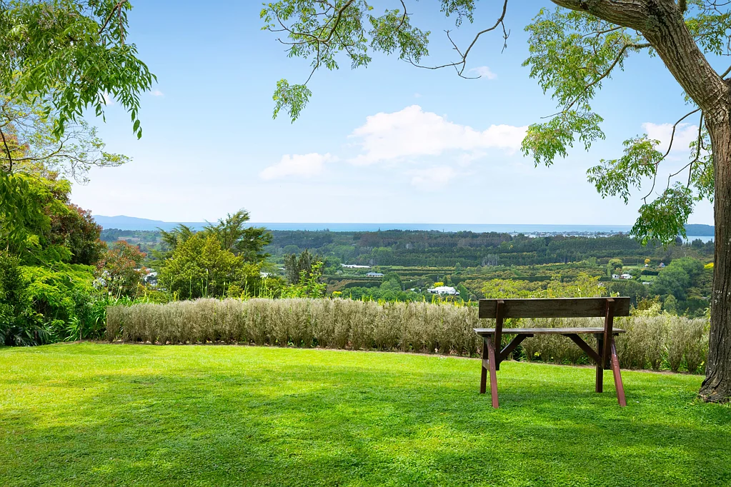 41D Waiau Road, Athenree Gorge, Hauraki, Waikato