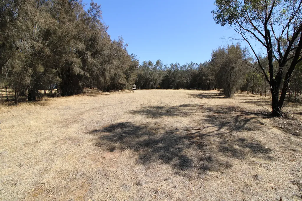 Woodanilling Lifestyle  Block 2.09 Hectares on edge of Woodanilling.