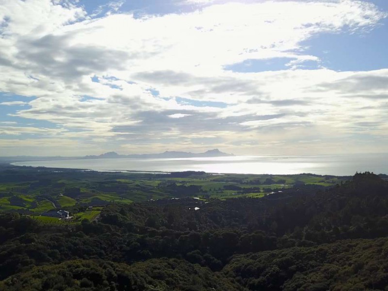 Massey Road, Waipu, Whangarei, 0 rūma, 1 rūma horoi