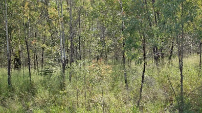 Eidsvold VACANT INDUSTRIAL LAND - EIDSVOLD