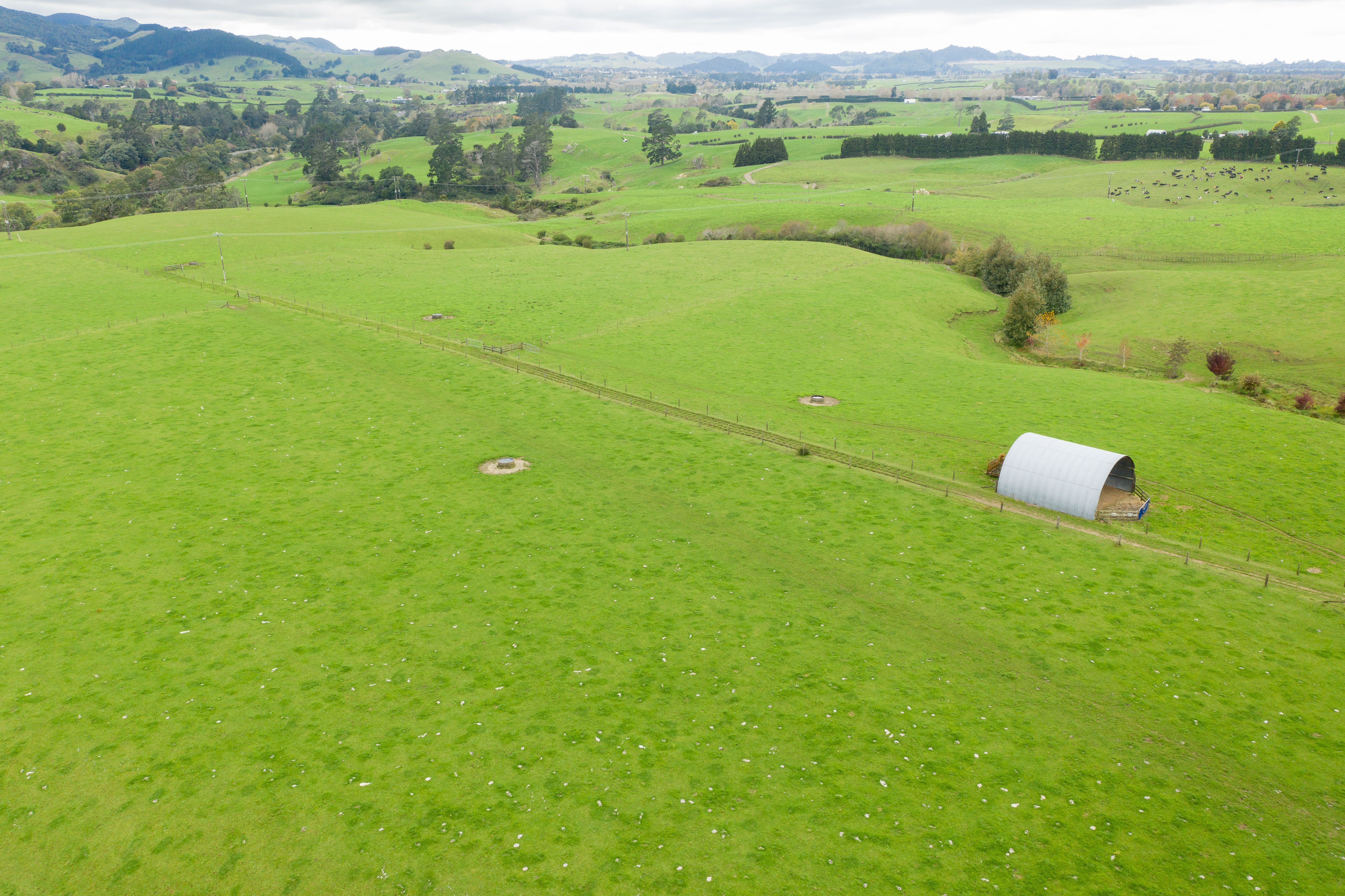 206 Pukekauri Road, Waikino, Hauraki, 0 침실, 0 욕실, Dairy