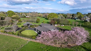 67D Davison Road, Newstead