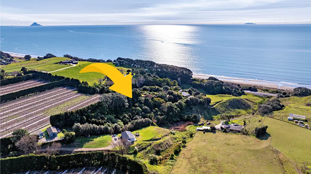 Opotiki and Surrounds Calling All Nature Lovers