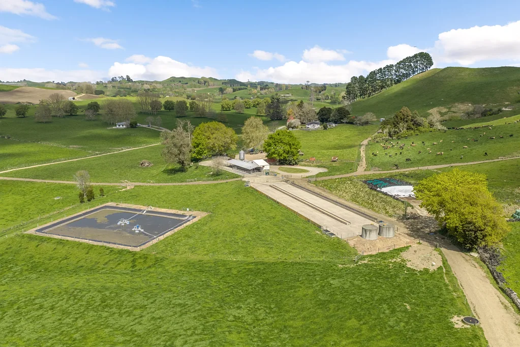 Piarere  Productive dairy farm with great infrastructure