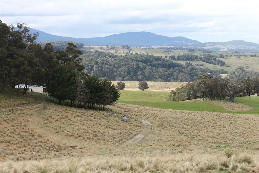 Braidwood Valley View