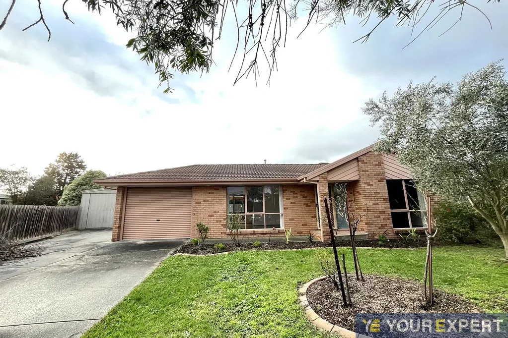 Spacious Family Living with Exceptional Parking & Fruit-Filled Backyard