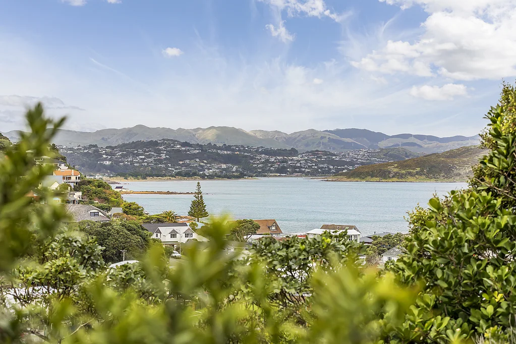 Plimmerton 3房  TWO TITLES - ONE SMART MOVE