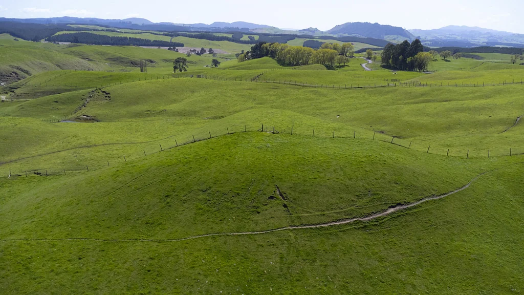 Wairakei and Surrounds You Can Buy the Views