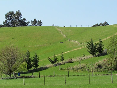 28 Ramsgate Street, Waihola, Clutha, Otago, 3房, 1浴, Lifestyle Section