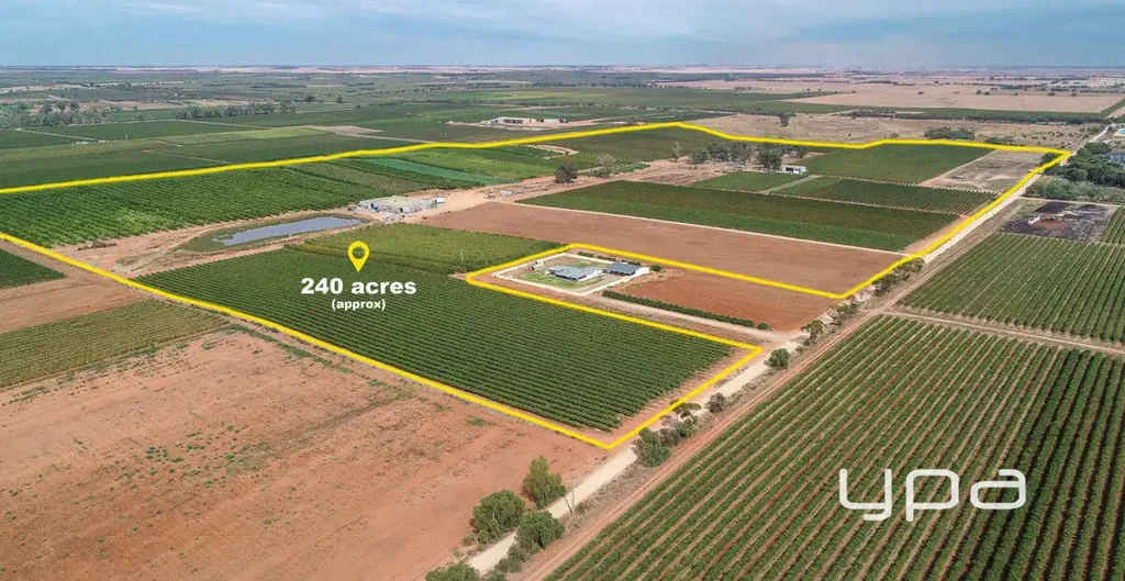 Piangil Premium 500-Acre Agribusiness – High-Value Horticulture, Swan Hill Region