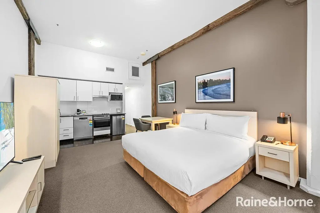 Pyrmont 1房 位置优越 /城市边缘 Well Located /City Fringe