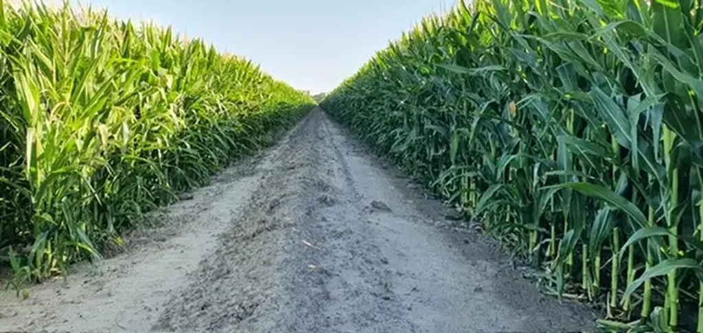 Morago  Mixed Farming Irrigation Powerhouse - 1518 Acres