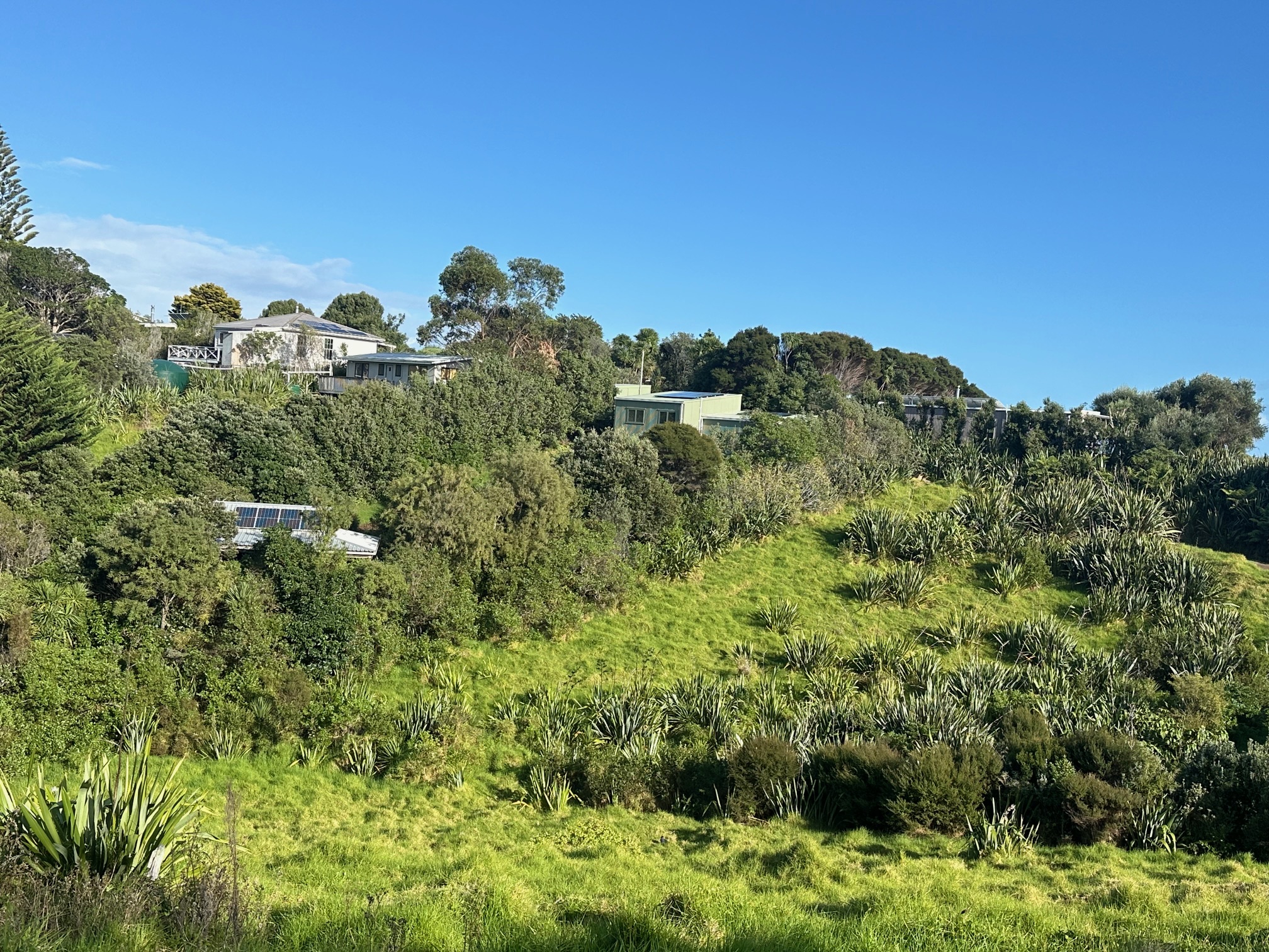 Hauraki Gulf Islands