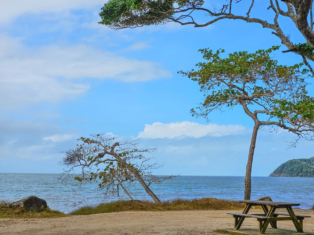 Bloomfield  Rainforest Acreage Near Weary Bay Beach
