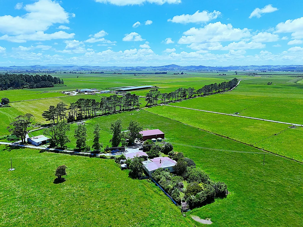 Ruawai Premium Dairy Farm in Ruawai