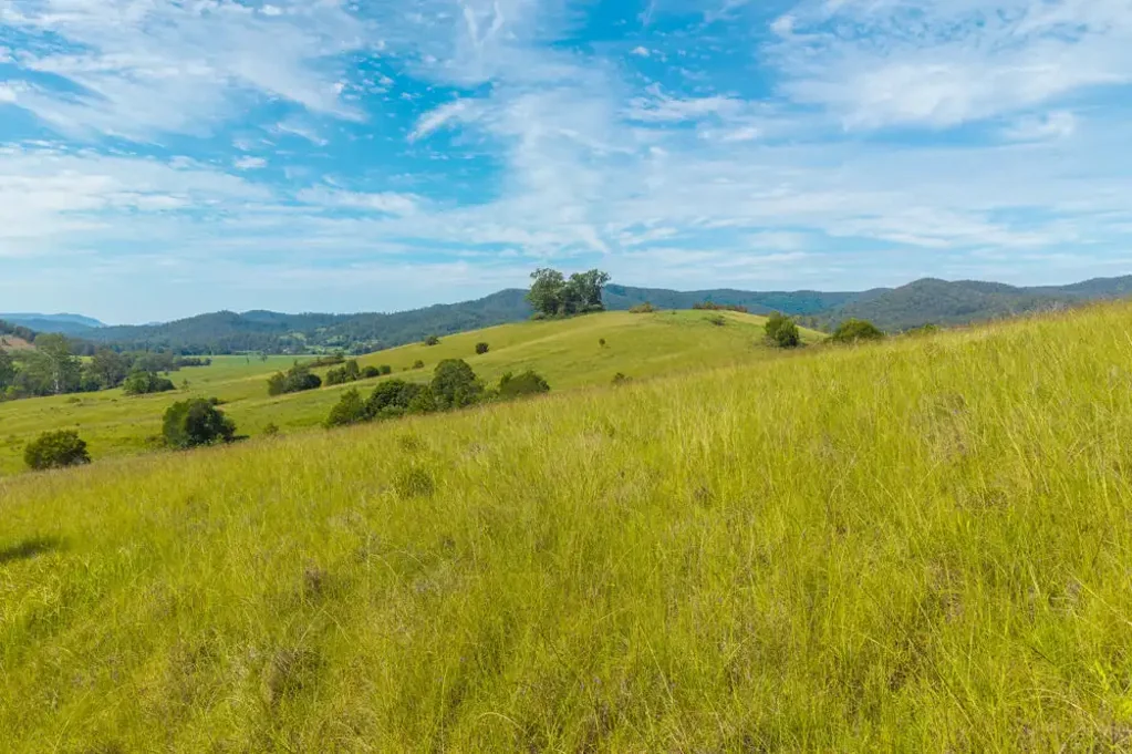 Hollisdale  VACANT ACRES BUILD YOUR DREAM HOME