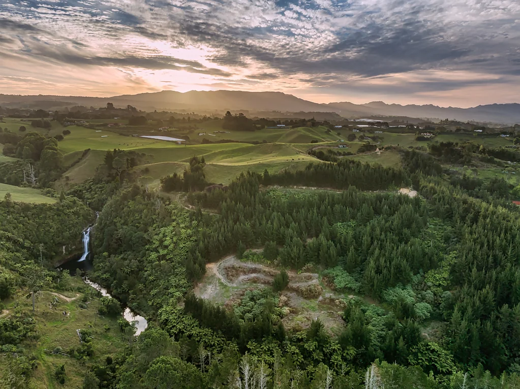 Whakamarama Land of beauty and versatility