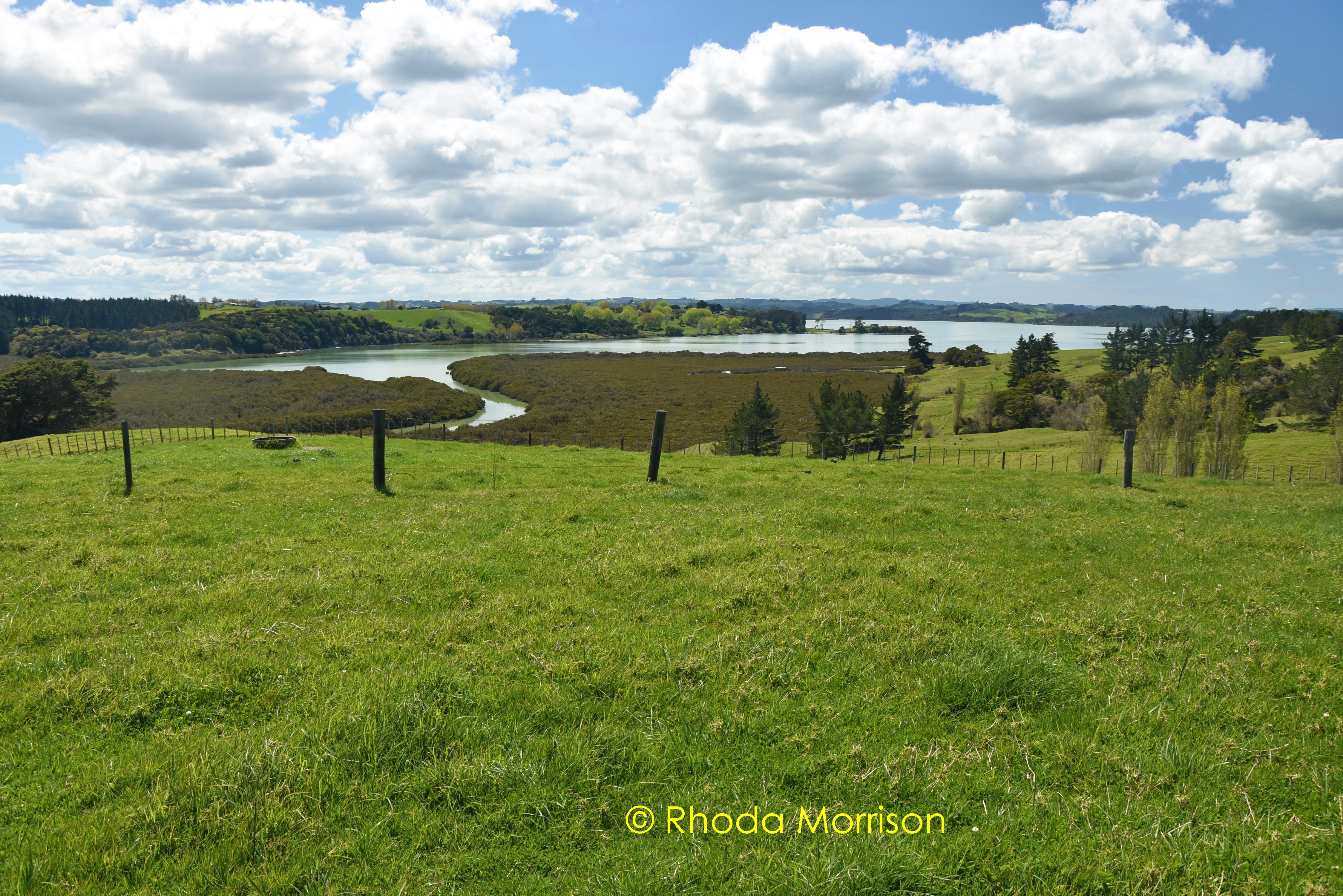 41 Manurere Rise, Tinopai, Kaipara, 0 ਕਮਰੇ, 0 ਬਾਥਰੂਮ