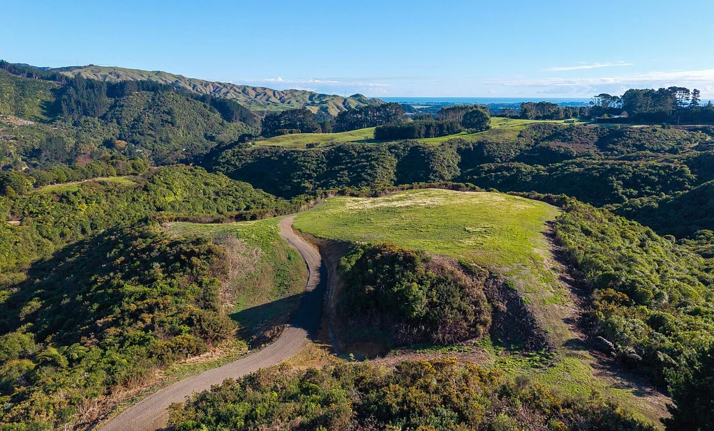 Otaki Bush, Beauty, and close to town!