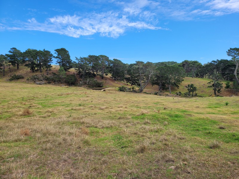 Koremoa Road, Te Kopuru, Kaipara, 0房, 0浴