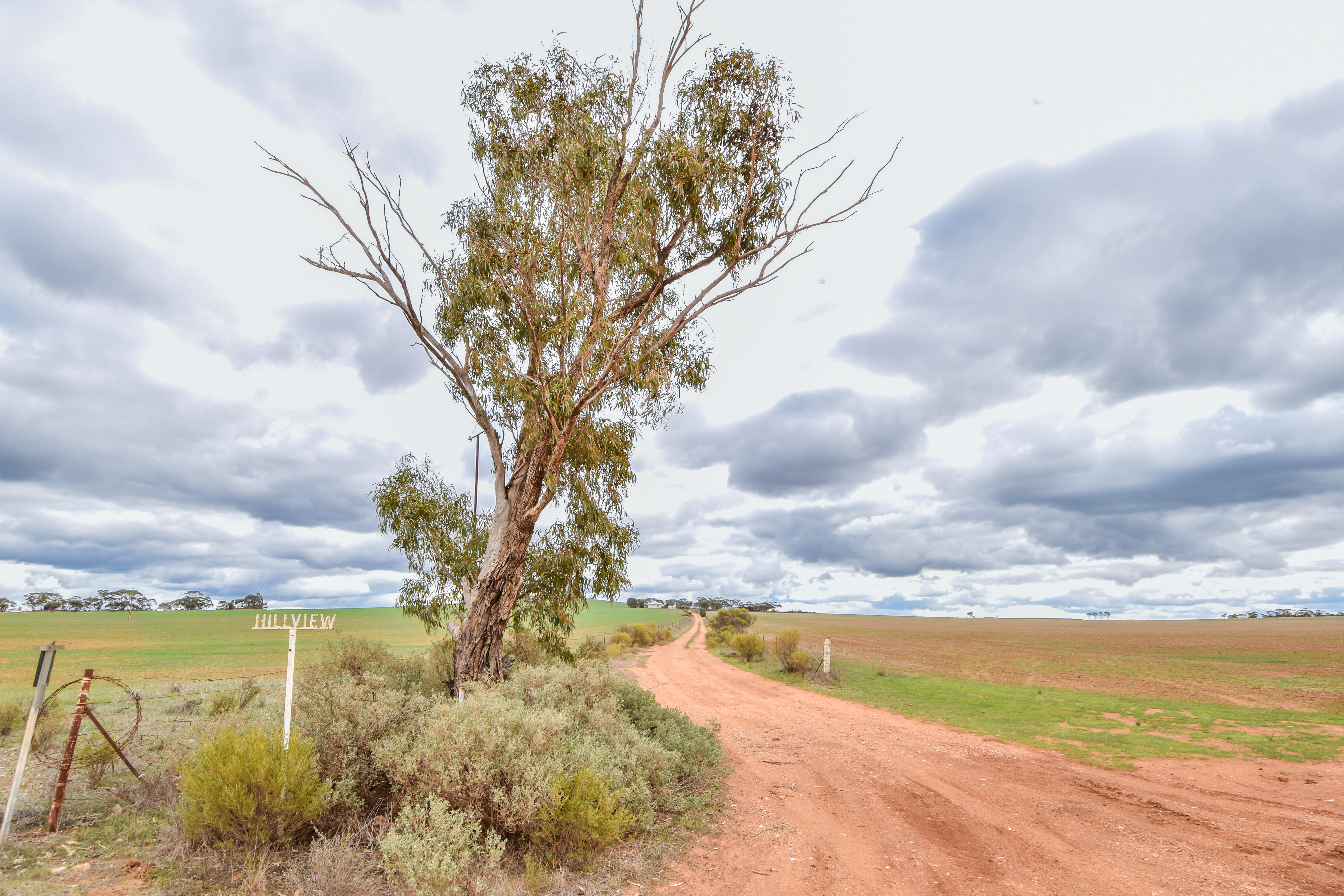 1074 PIGGOTT RD, BOOLEROO CENTRE SA 5482, 0 રૂમ, 0 બાથરૂમ, House