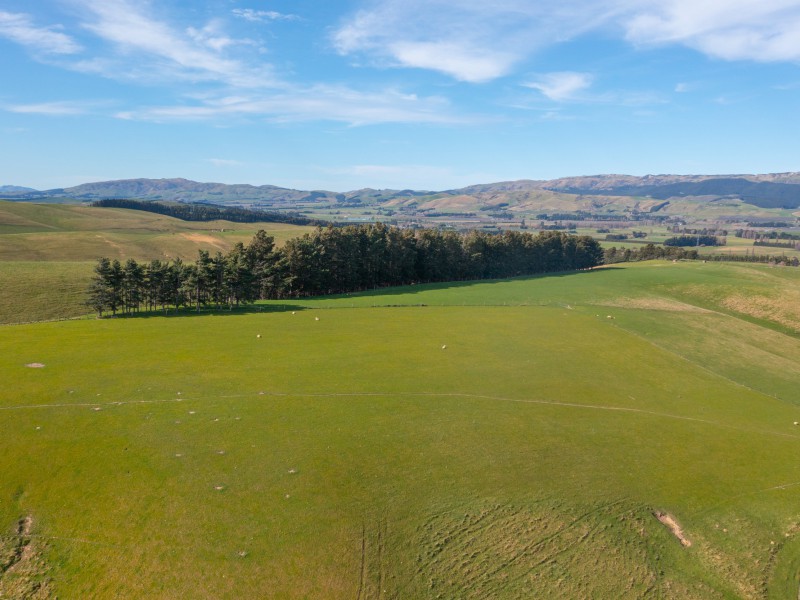 277 Mackenzies Road, Waipara, Hurunui, 0 침실, 0 욕실