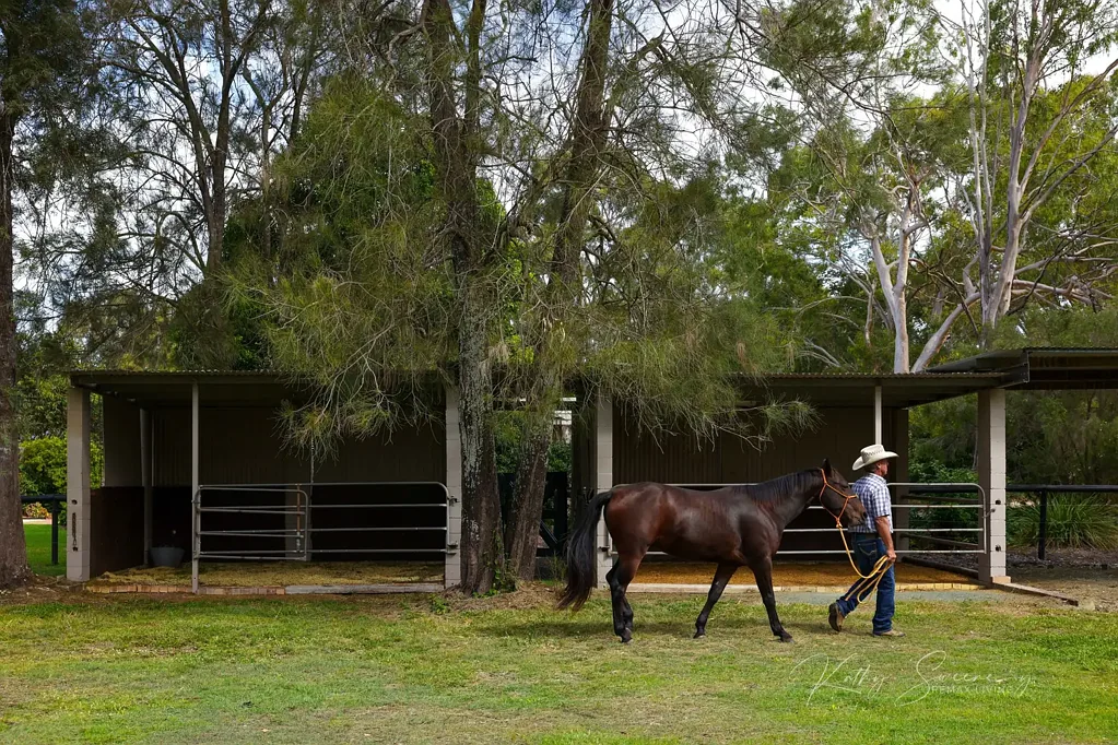 Beachmere 5 Bedroom Horse Lovers' Retreat in Beachmere | 2.01 Ha | Two Homes + Equestrian Facilities