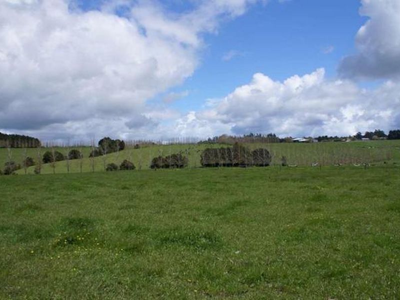 419 Pungaere Road, Kerikeri Surrounds, Far North, 0 Kuwarto, 0 Banyo